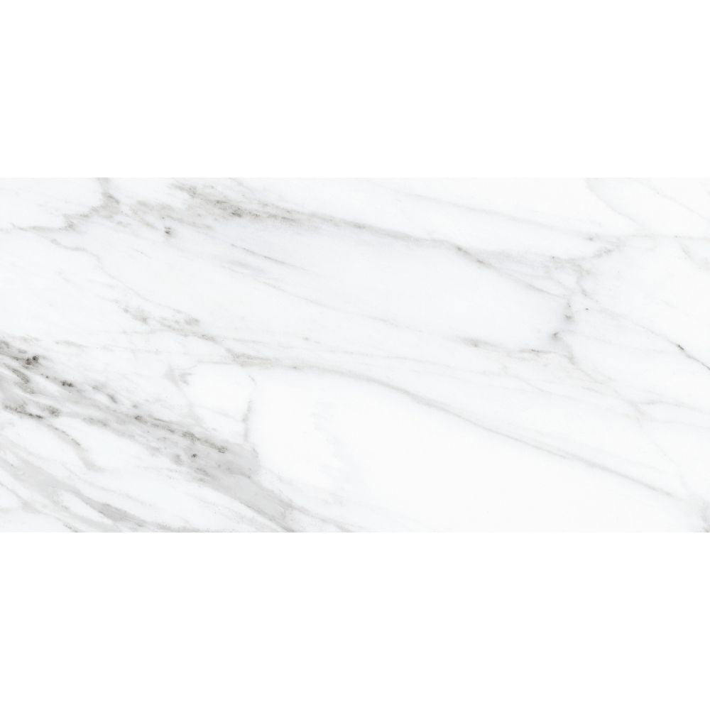 Belus 24" x 48" Porcelain Stone Look Wall Floor Use Tile