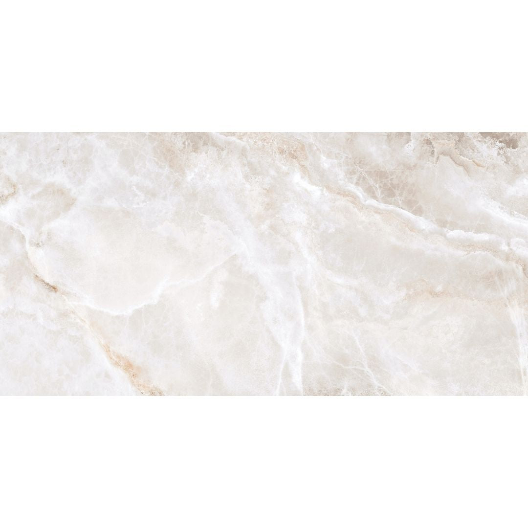 Banff 24" x 48" Matte Porcelain Floor and Wall Tile