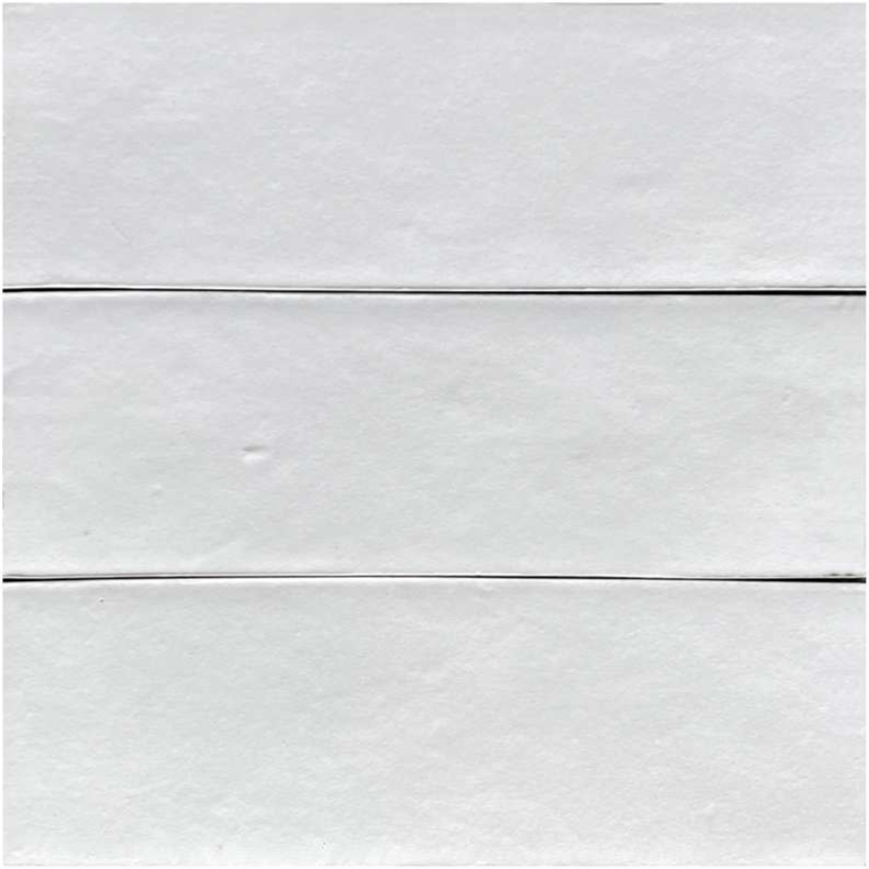 Galileo 2x6 Porcelain Wall Tile