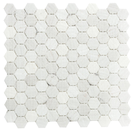 Eterna Hex 1"x1" Glass Matte Mosaic