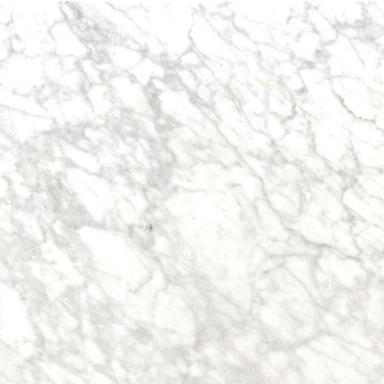 Checkmate 12"x12" Marble Honed Tile