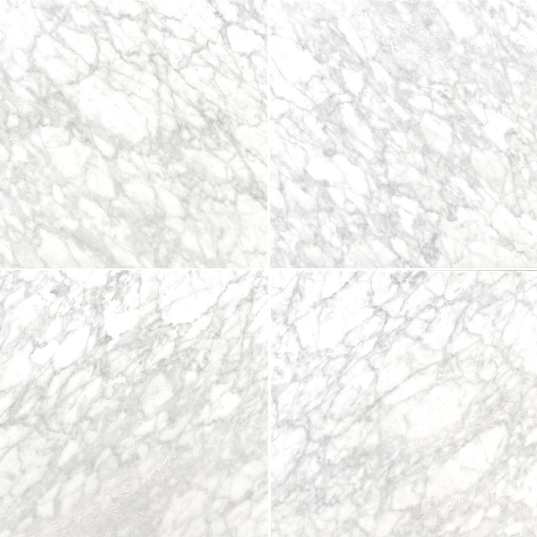 Checkmate 12" x 12" Carrara Marble Honed Tile