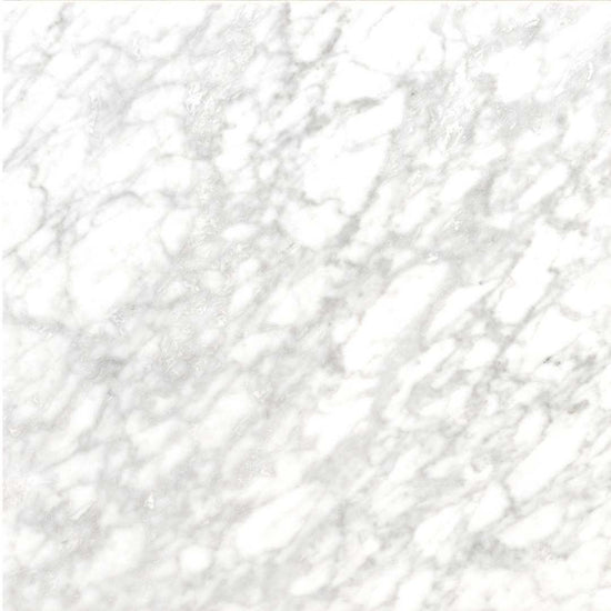 Checkmate 12" x 12" Carrara Marble Honed Tile