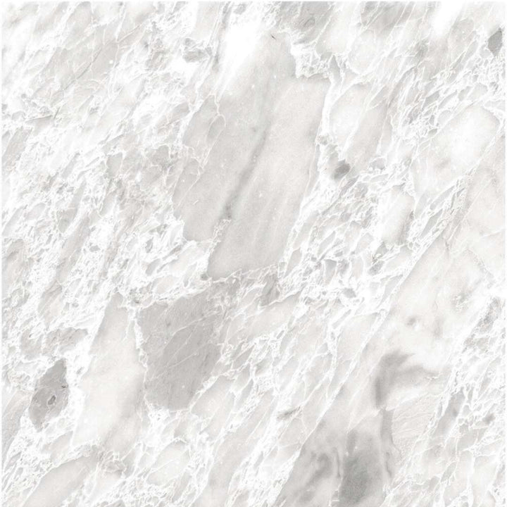 Checkmate 12" x 12" Marble Wall and Floor Tile