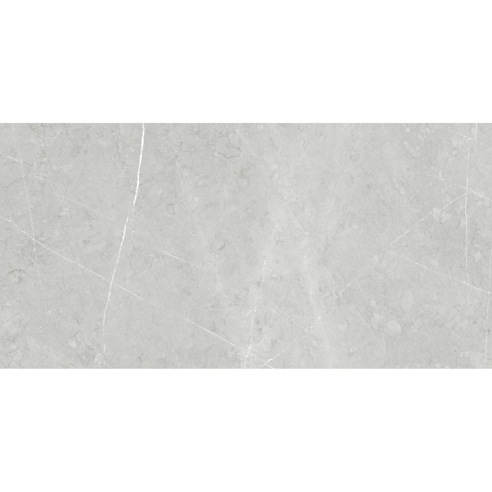 Alastair 24"x48" Silver Porcelain Polished Tile
