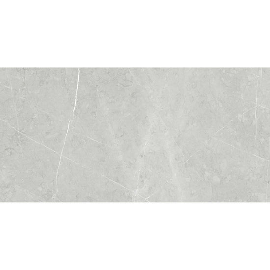 Alastair 24" x 48" Floor & Wall Tile