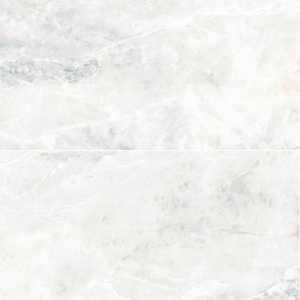Adonis 24" x 48" Bianco Porcelain Polished Tile