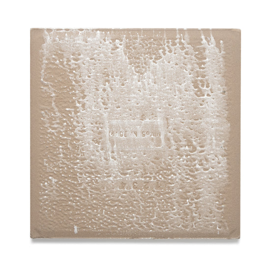 Seville Art 8"x8" Embassy Color Porcelain Matte Tile
