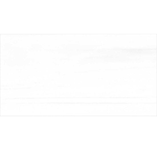 Evoque 24" x 48" Bianco Porcelain Polished Tile