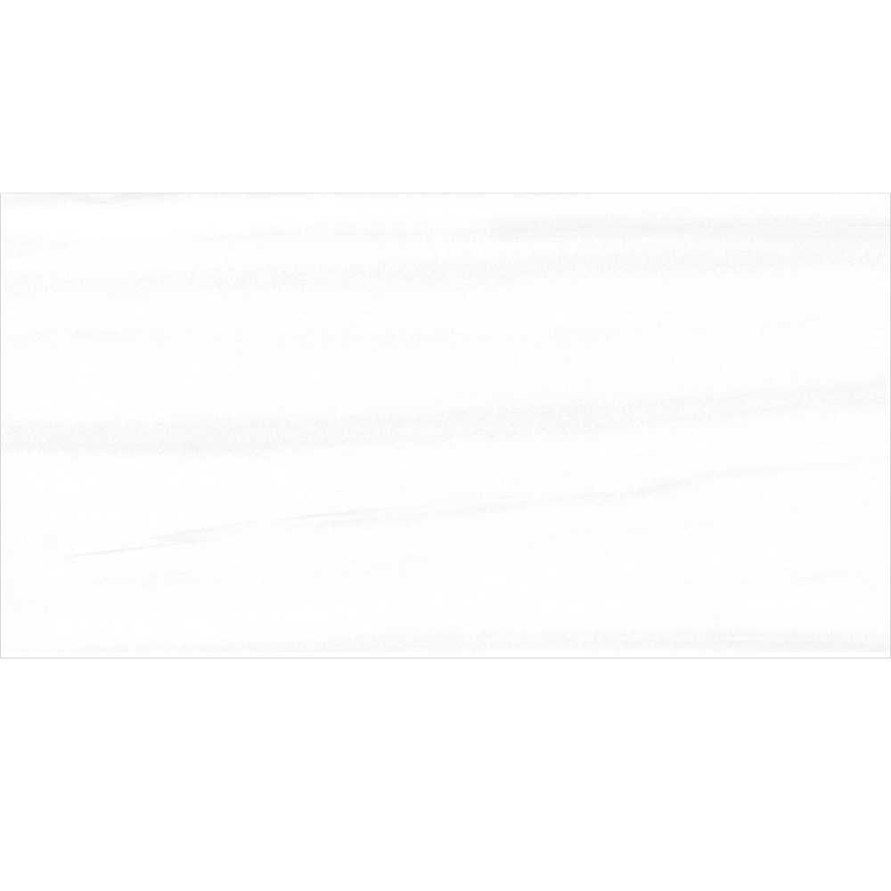 Evoque 24" x 48" Bianco Porcelain Polished Tile