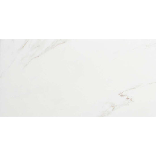 Huntington 24" x 48" Porcelain Marble Look Wall & Floor Tile