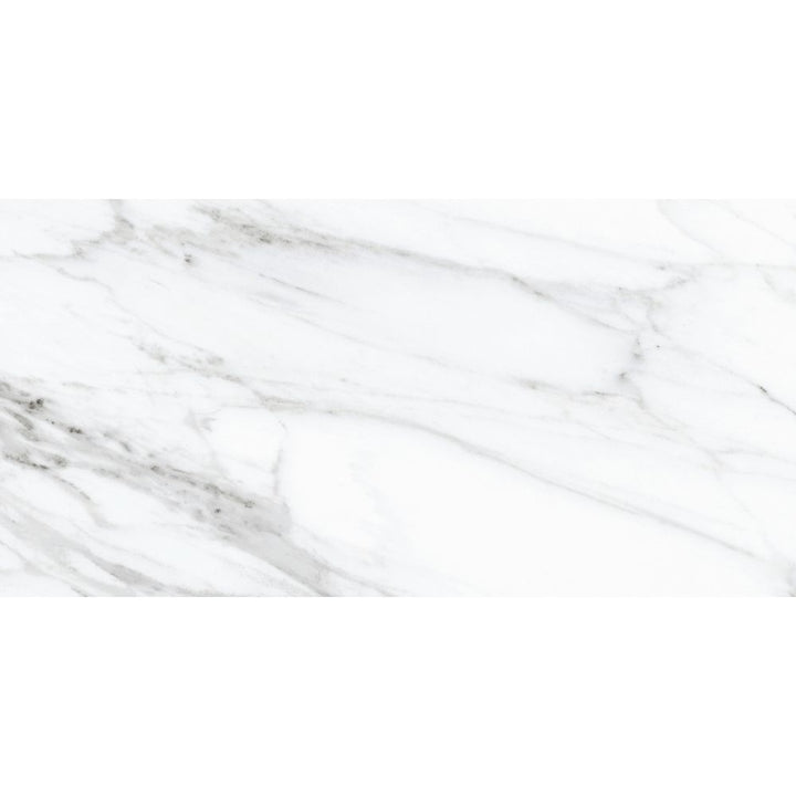 Belus 24" x 48" Porcelain Stone Look Wall Floor Use Tile