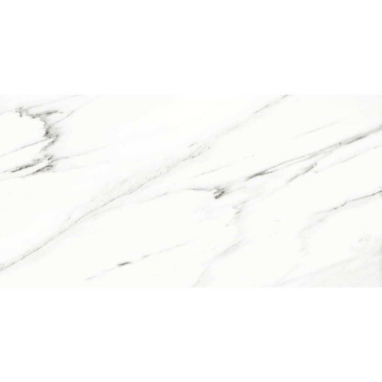 Belus 24" x 48" White Porcelain Polished Tile