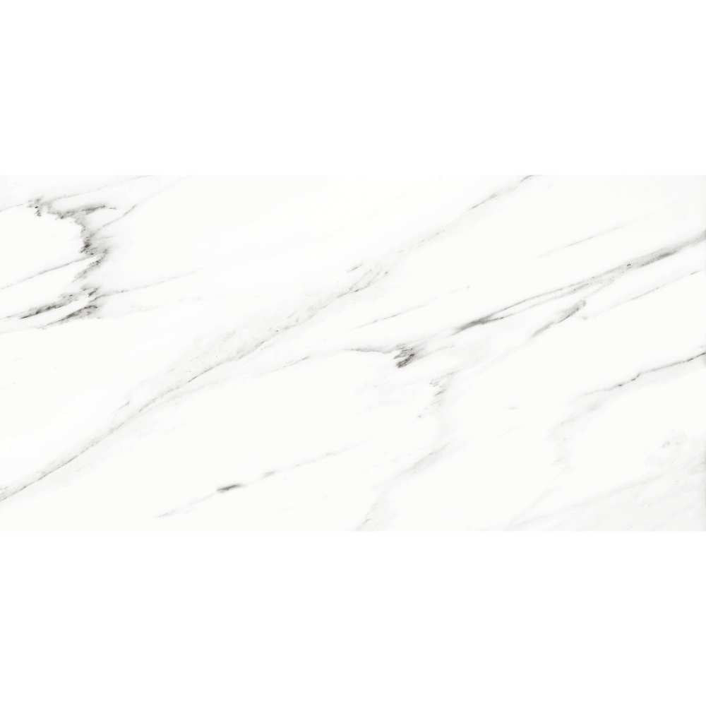 Belus 24" x 48" Porcelain Stone Look Wall Floor Use Tile