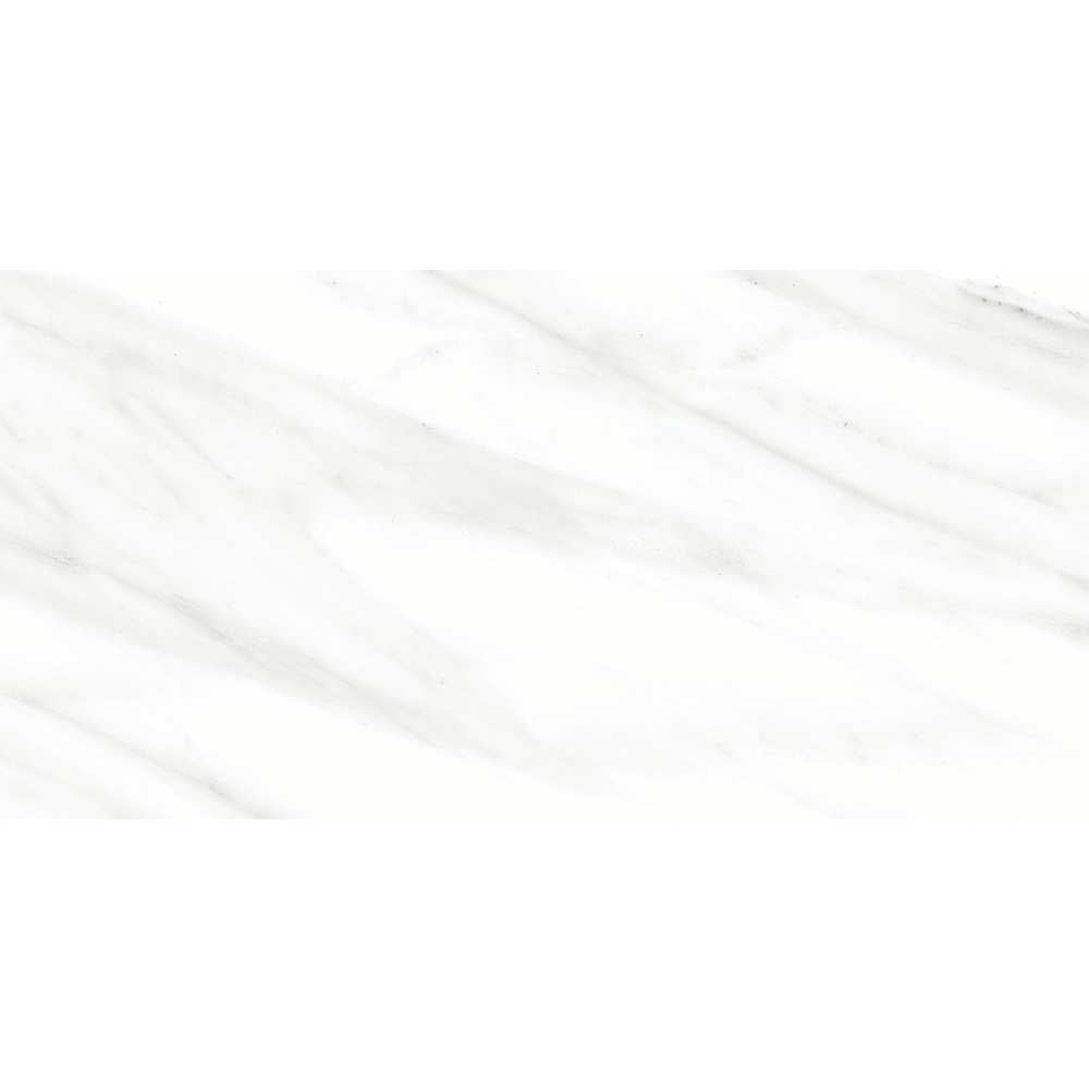 Belus 24" x 48" White Porcelain Polished Tile