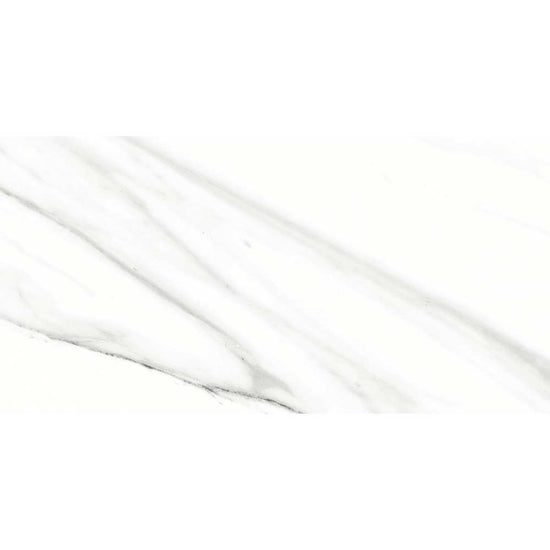 Belus 24" x 48" White Porcelain Polished Tile