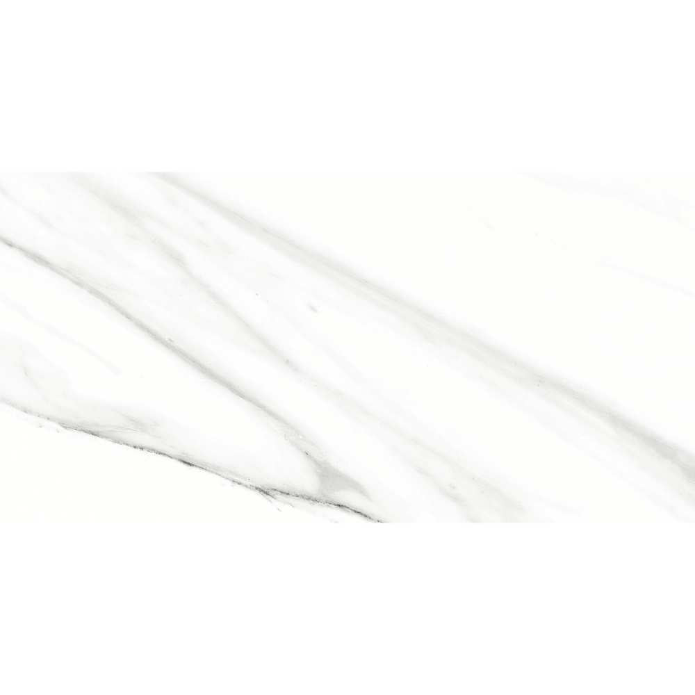 Belus 24" x 48" Porcelain Stone Look Wall Floor Use Tile