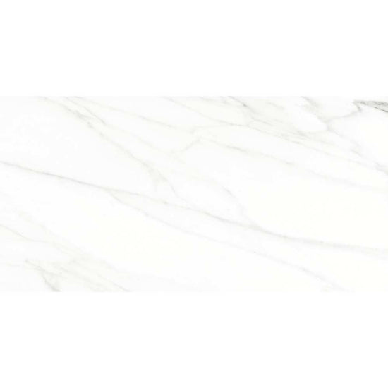 Belus 24" x 48" Porcelain Stone Look Wall Floor Use Tile
