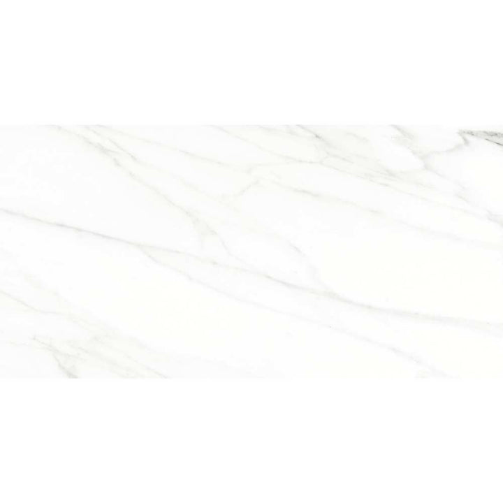 Belus 24" x 48" Porcelain Stone Look Wall Floor Use Tile