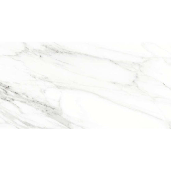 Belus 24" x 48" Porcelain Stone Look Wall Floor Use Tile