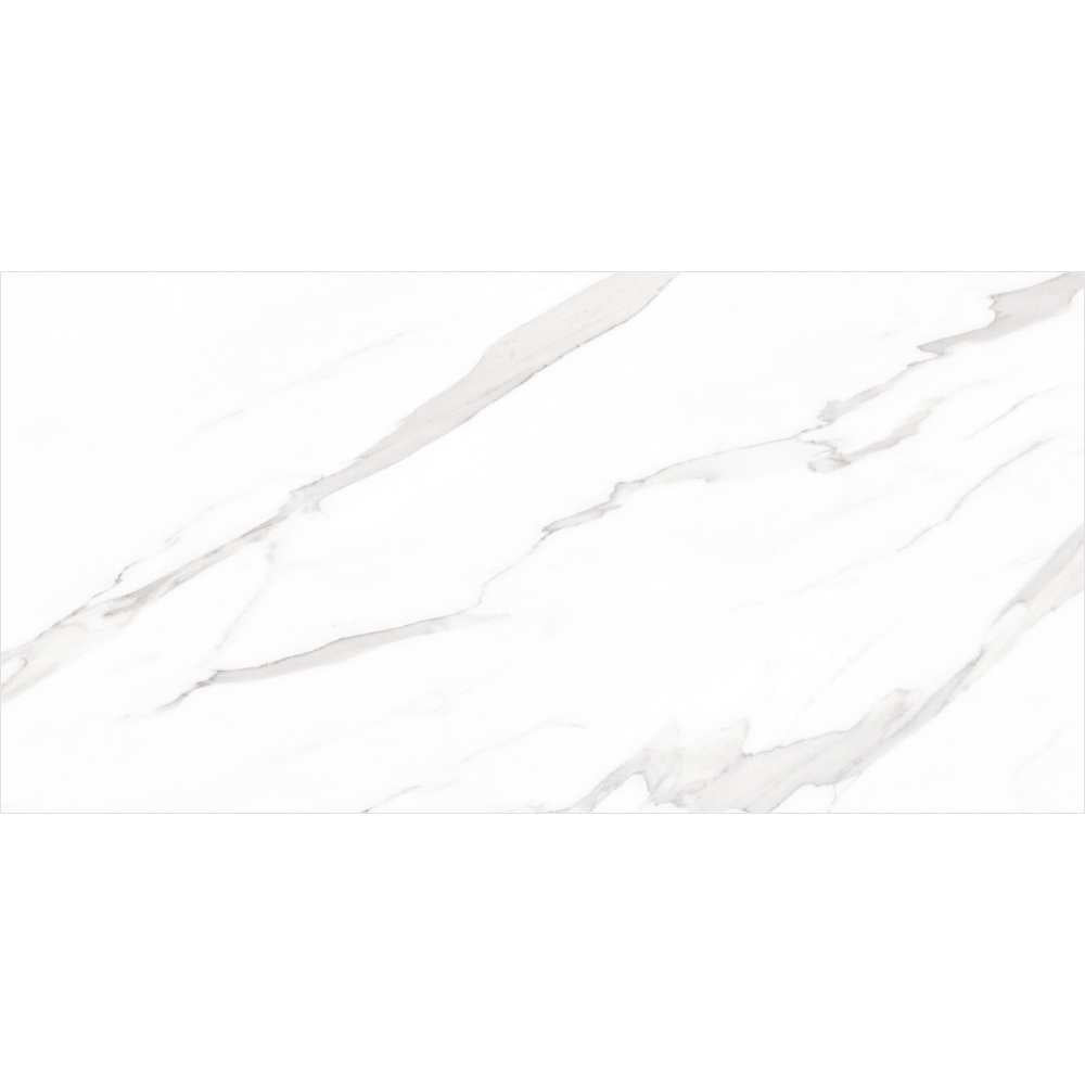 Delaney 24" x 48" White Porcelain Polished Tile
