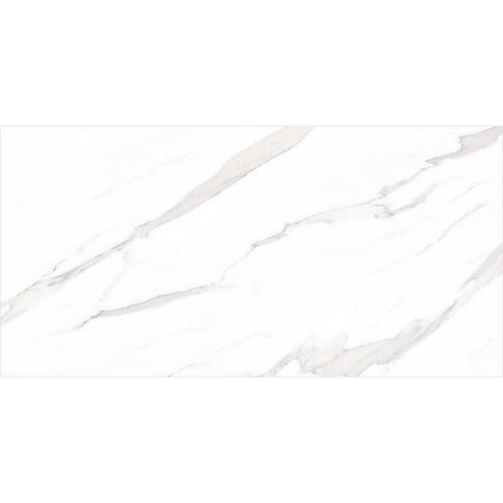 Delaney 24"x48" White Porcelain Polished Tile