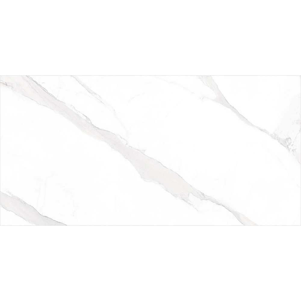 Delaney 24" x 48" White Porcelain Polished Tile