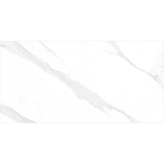 Delaney 24"x48" White Porcelain Polished Tile
