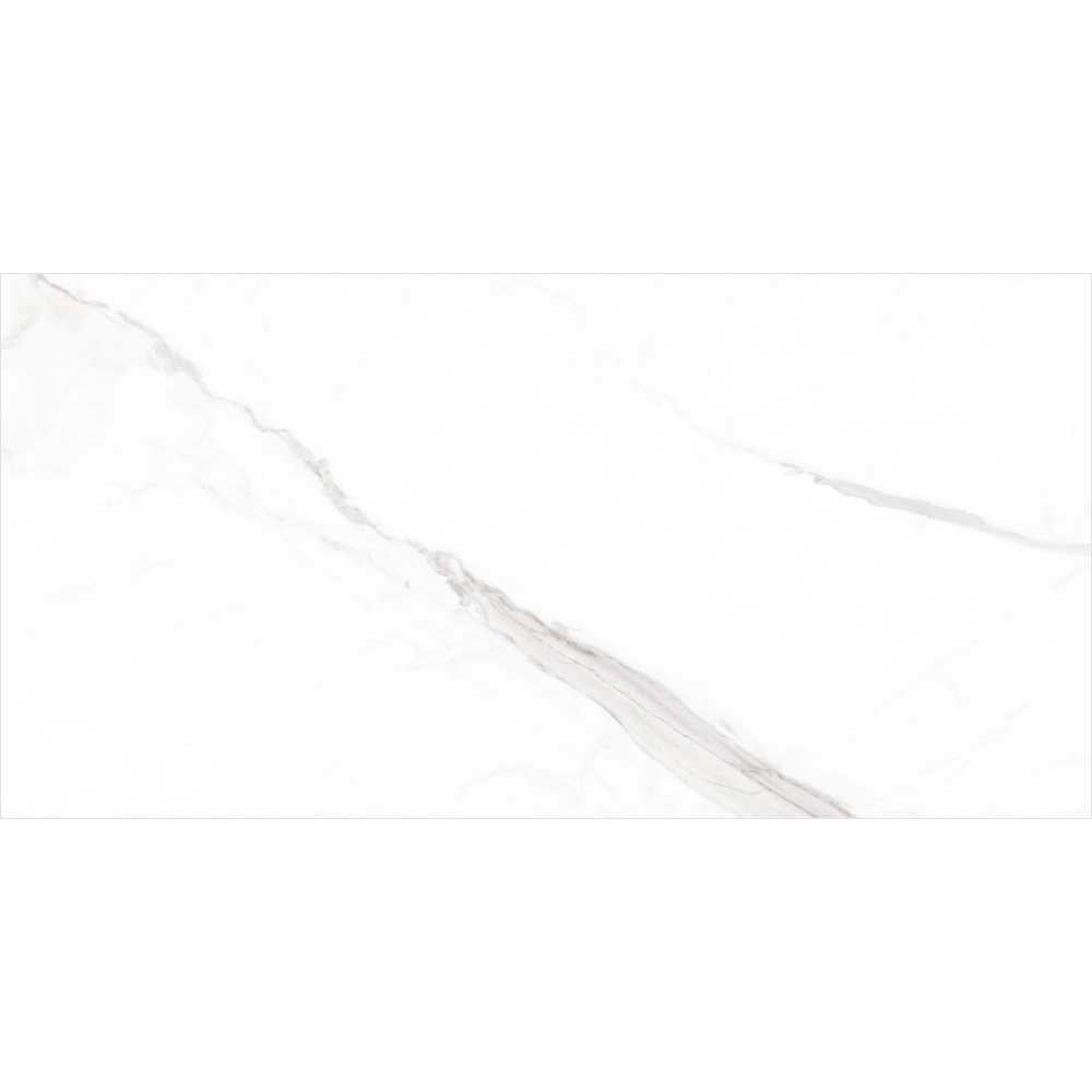 Delaney 24" x 48" White Porcelain Polished Tile