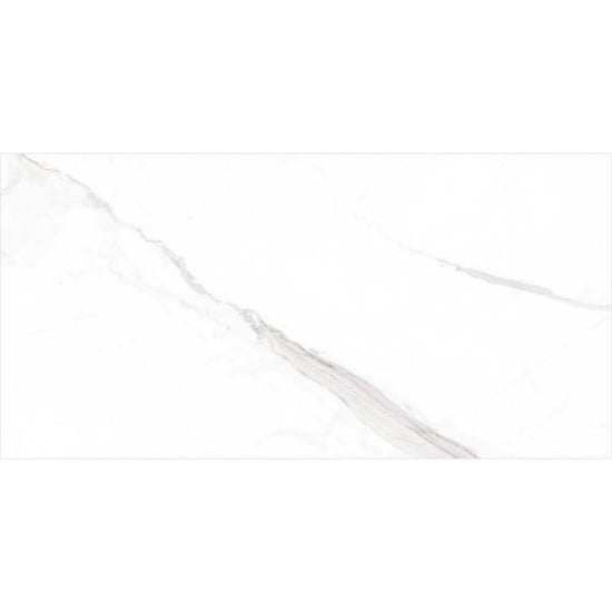 Delaney 24" x 48" White Porcelain Polished Tile