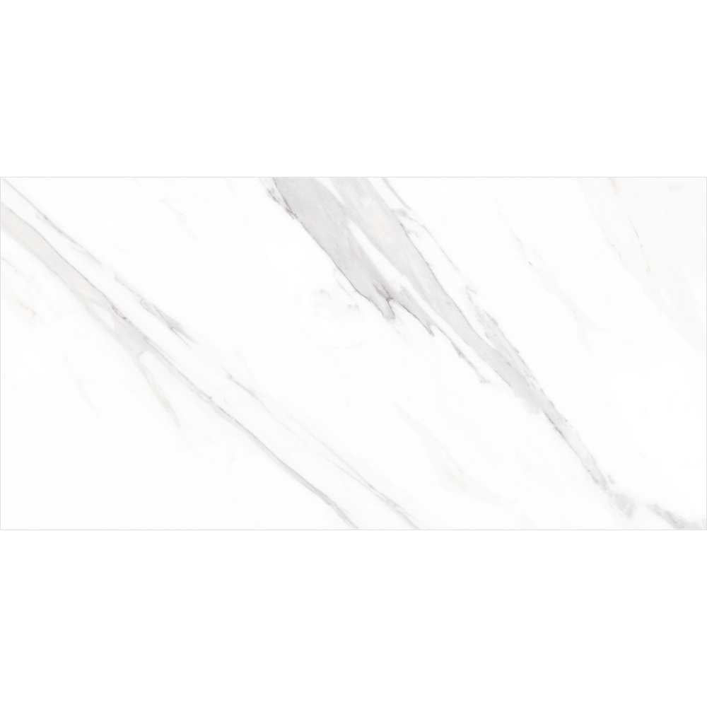 Delaney 24" x 48" White Porcelain Polished Tile