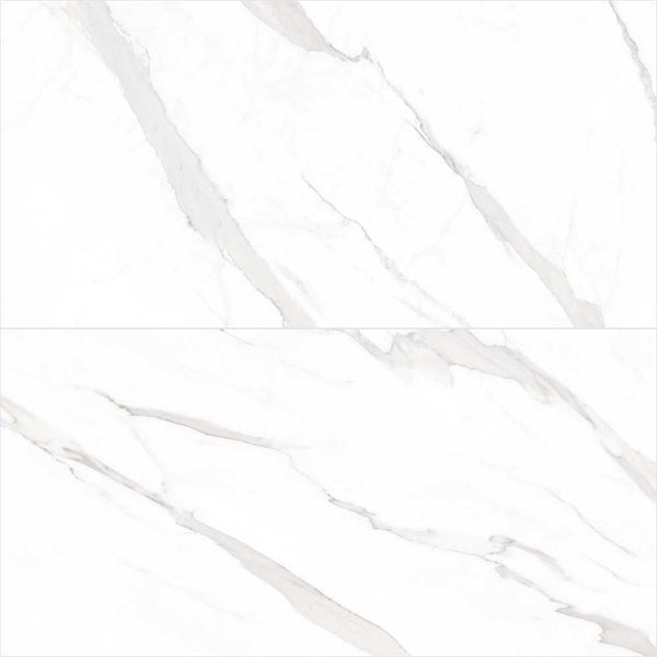 Delaney 24" x 48" White Porcelain Polished Tile
