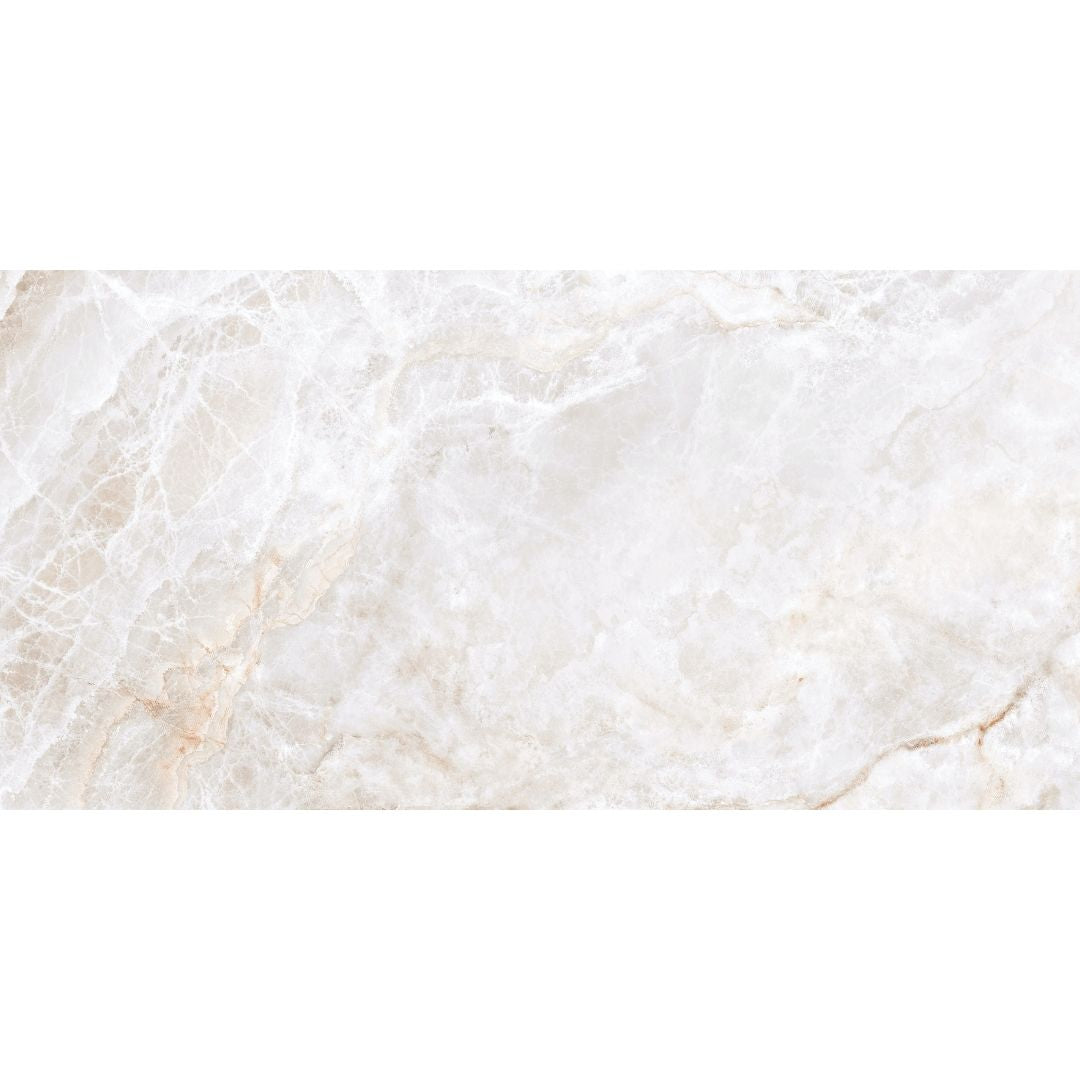 Banff 24" x 48" Porcelain Floor and Wall Tile