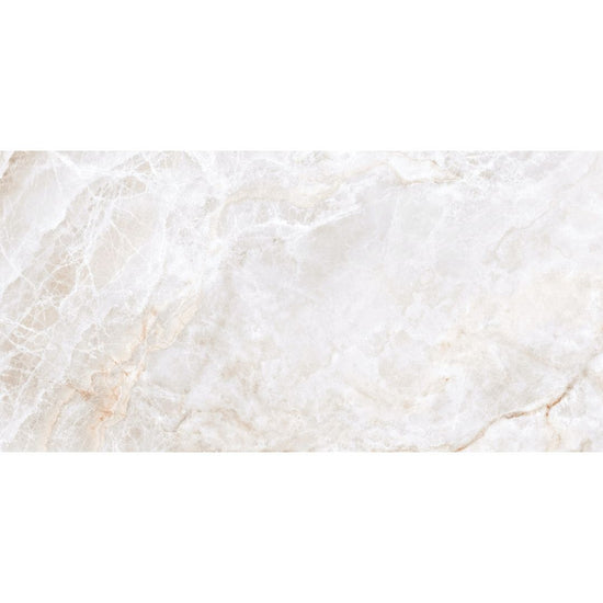 Banff 24" x 48" Matte Porcelain Floor and Wall Tile