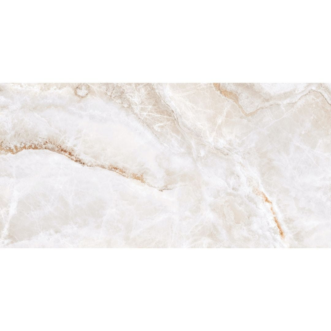 Banff 24" x 48" Matte Porcelain Floor and Wall Tile