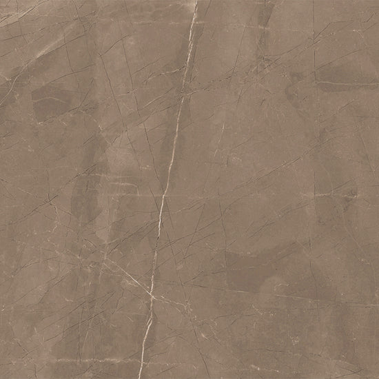 Windsor 12"x12" Amani Bronze Porcelain Matte Tile