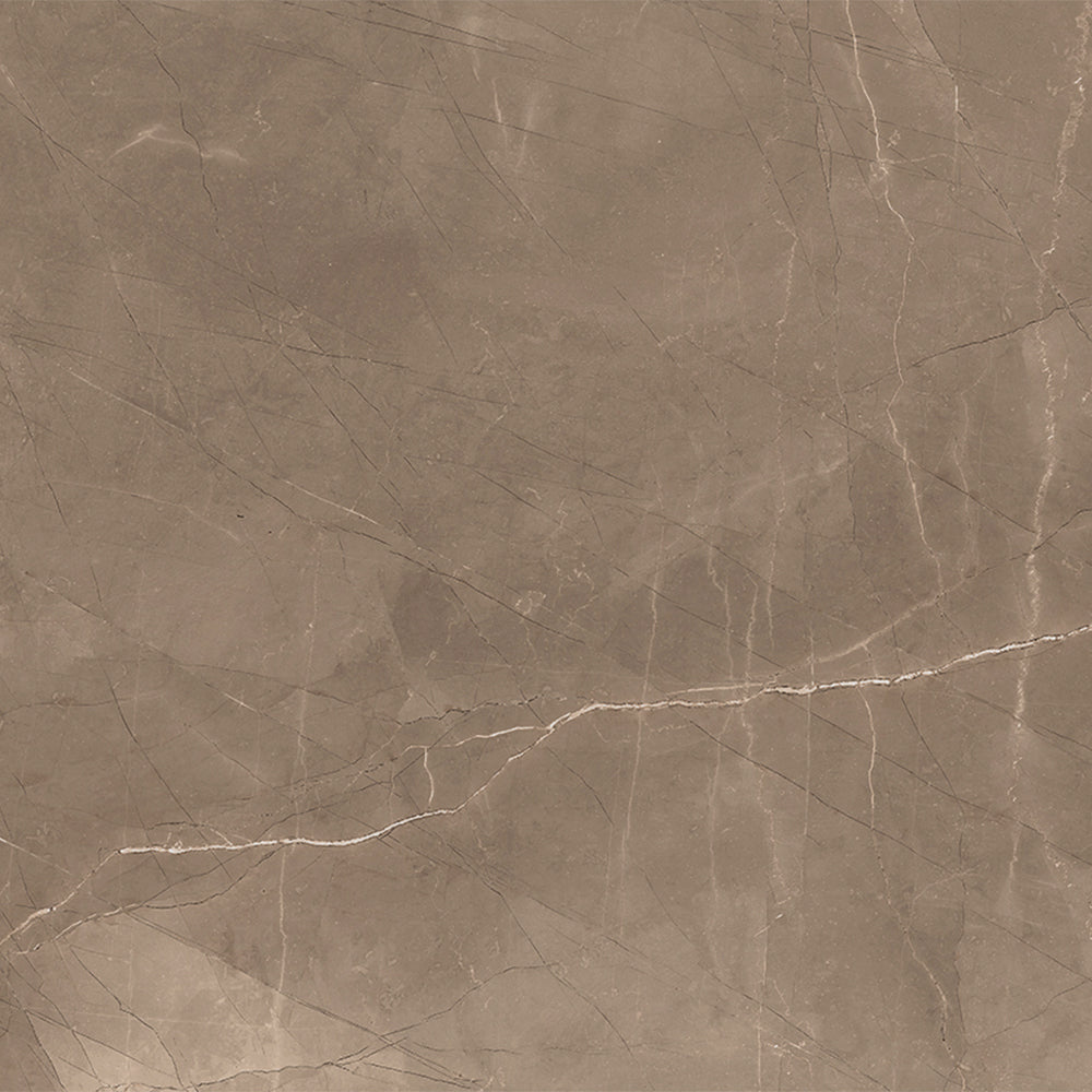 Windsor 12"x12" Amani Bronze Porcelain Matte Tile