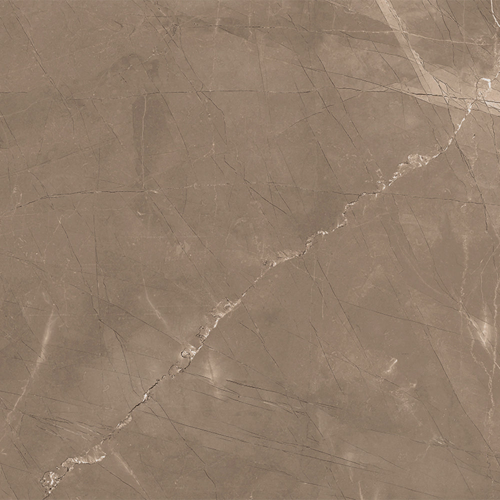 Windsor 12"x12" Amani Bronze Porcelain Matte Tile