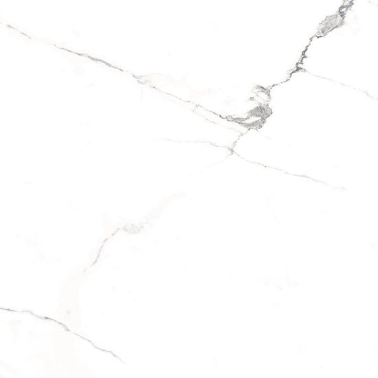Windsor 12"x12" Calacatta Porcelain Matte Tile