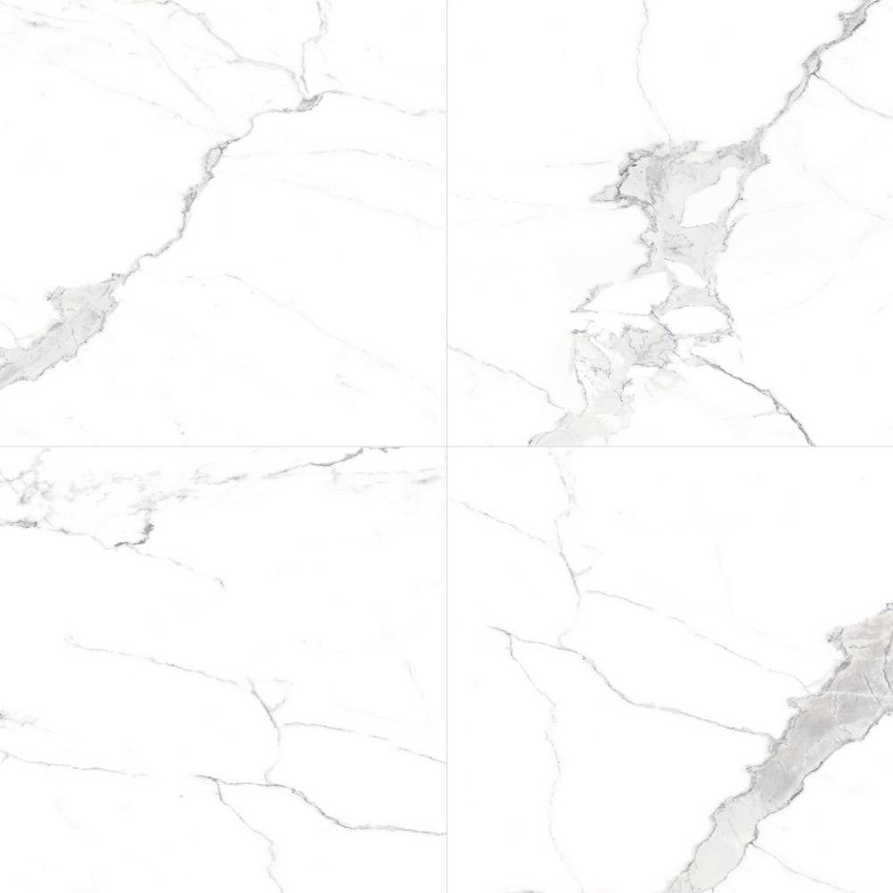 Windsor 12"x12" Calacatta Porcelain Matte Tile