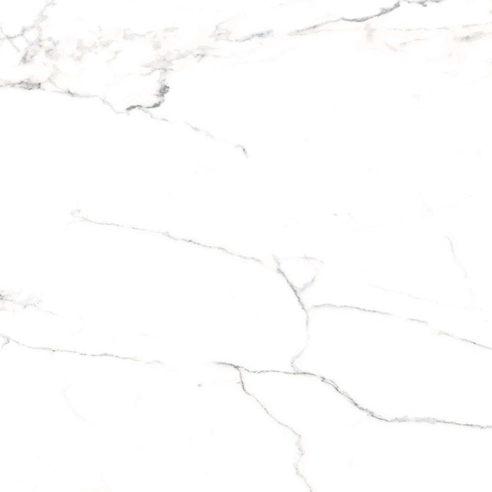 Windsor 12"x12" Calacatta Porcelain Matte Tile