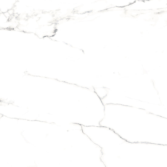 Windsor 12"x12" Calacatta Porcelain Matte Tile