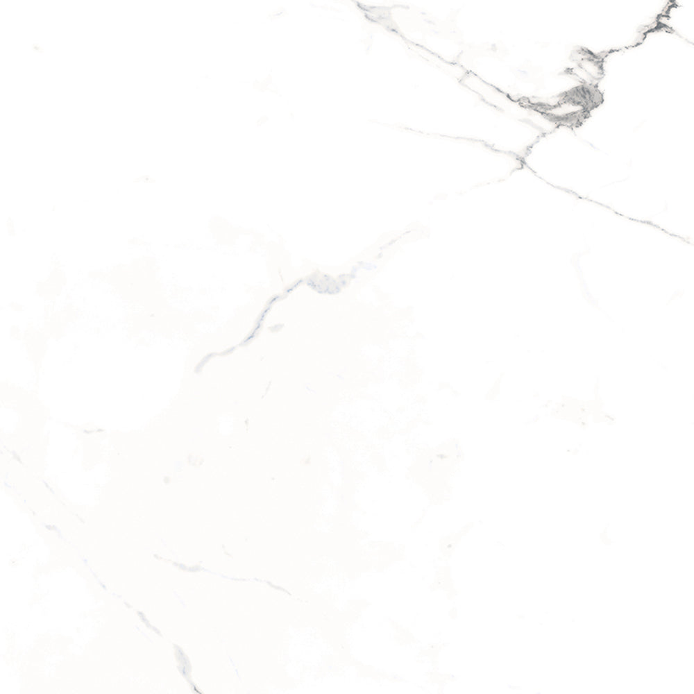 Windsor 12"x12" Calacatta Porcelain Matte Tile