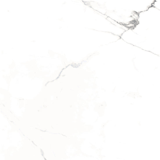 Windsor 12"x12" Calacatta Porcelain Matte Tile