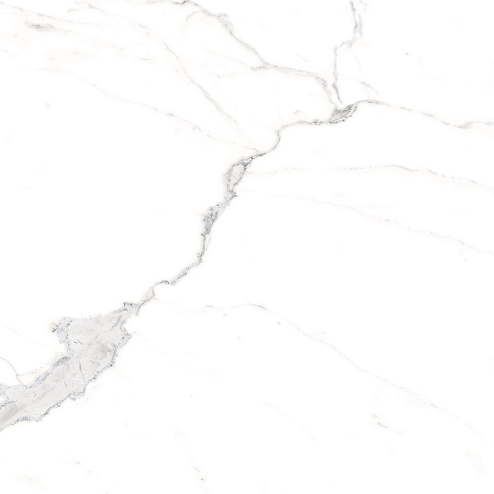Windsor 12"x12" Calacatta Porcelain Matte Tile