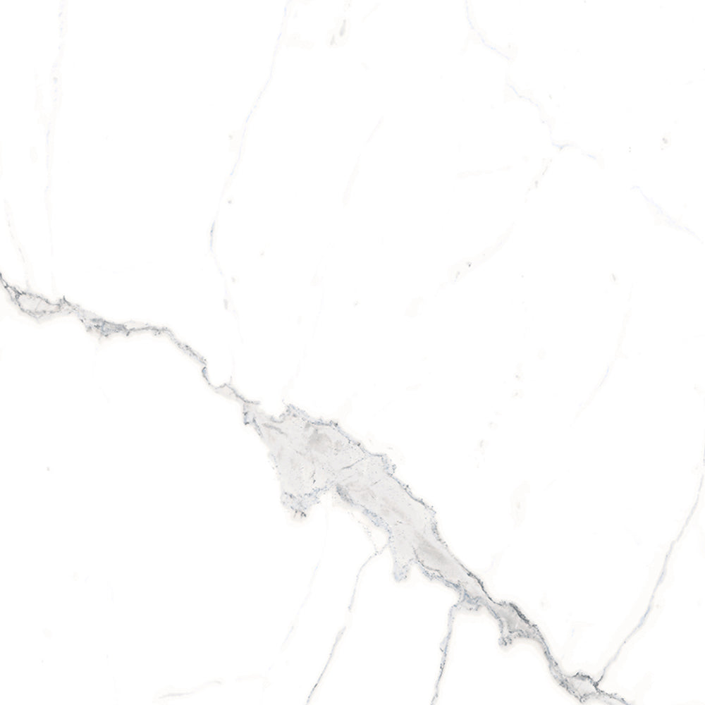 Windsor 12"x12" Calacatta Porcelain Matte Tile