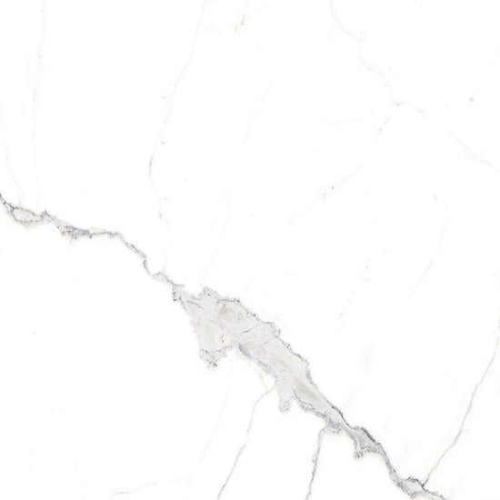 Windsor 12"x12" Calacatta Porcelain Matte Tile