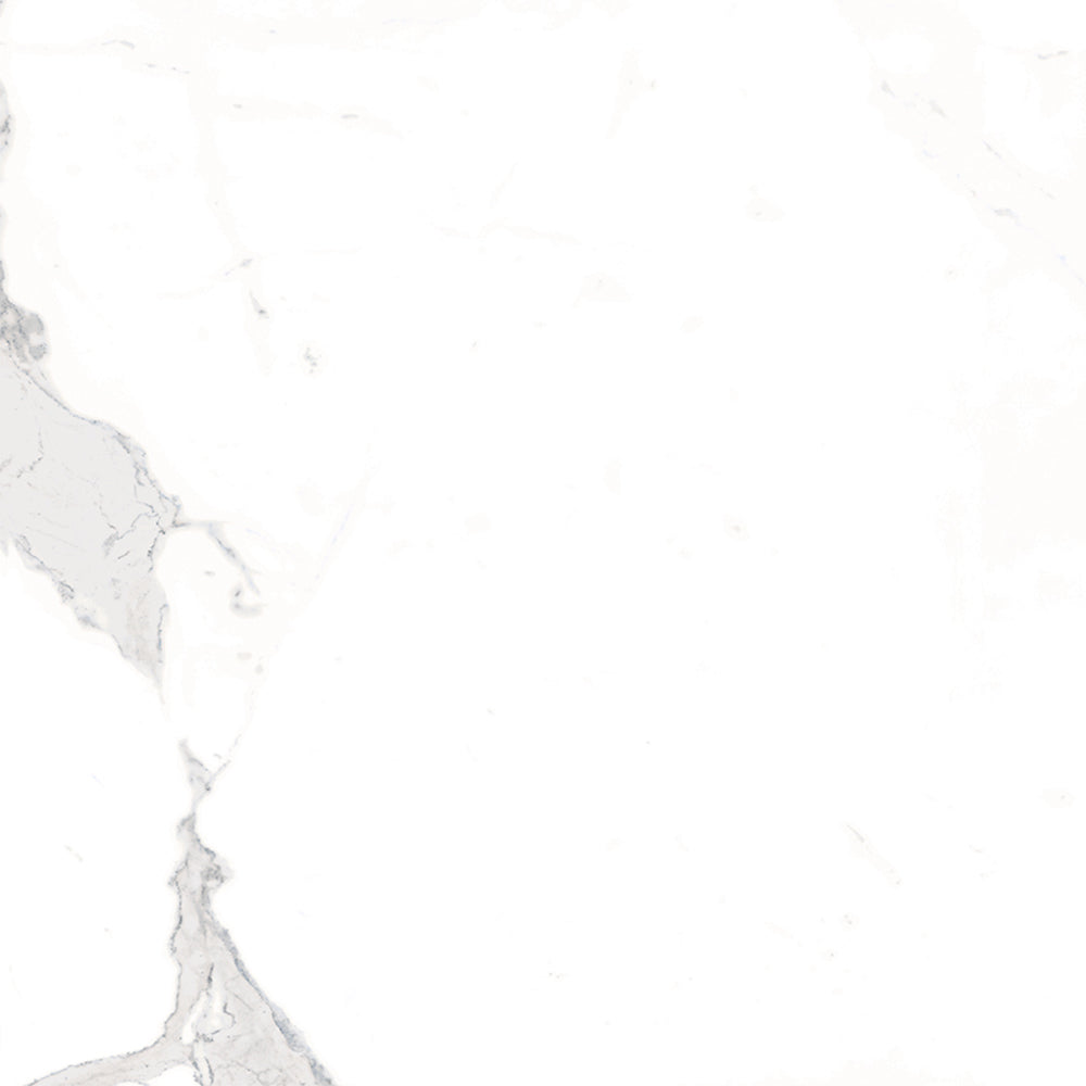 Windsor 12"x12" Calacatta Porcelain Matte Tile