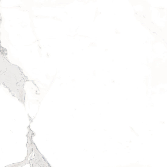 Windsor 12"x12" Calacatta Porcelain Matte Tile