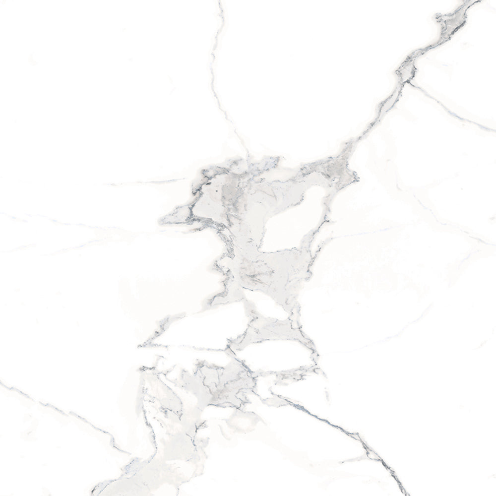 Windsor 12"x12" Calacatta Porcelain Matte Tile